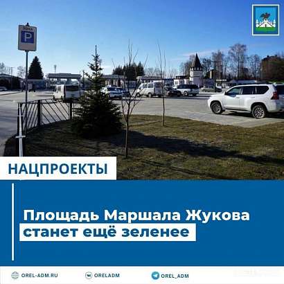 Больше зелени для площади Маршала Жукова 