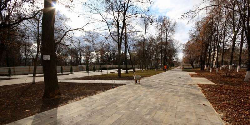 В разгар пандемии арендаторы не рискнули занимать торговые точки в горпарке Орла