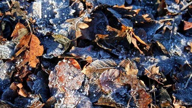 Орловчан ждут морозные выходные без снега