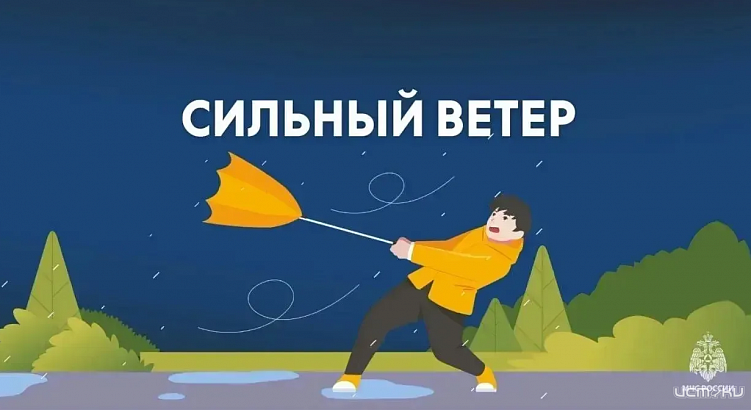 В Орловской области ожидаются порывы ветра местами до 24 м/с