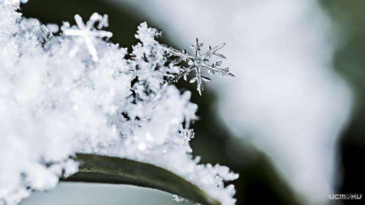 Воскресенье обещает быть прохладным и снежным