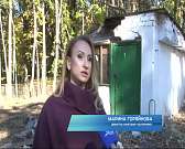 Вырубка или благоустройство: почему пилят деревья в лагере «Орловчанка»