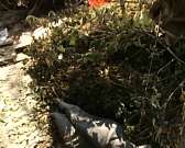 Уже больше месяца крупногабаритный мусор из их двора не вывозят.