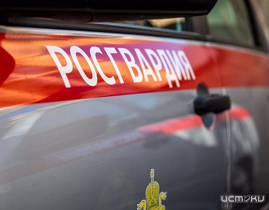 В нерабочие дни в Орле участились случаи краж дорогого алкоголя