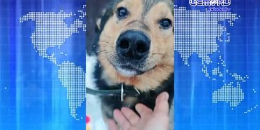 Оттепель и снег с дождем: синоптики рассказали о погоде в Орле