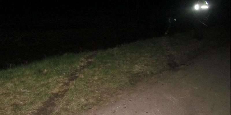 Два ВАЗа столкнулись лоб в лоб на орловской трассе