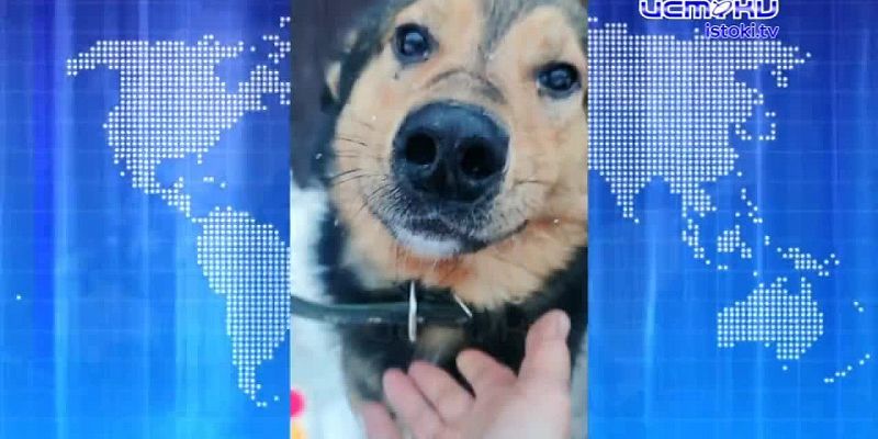 Оттепель и снег с дождем: синоптики рассказали о погоде в Орле