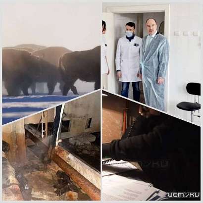 Новый недельный обзор новостей Орловщины ждет вас на телеканале "Истоки"