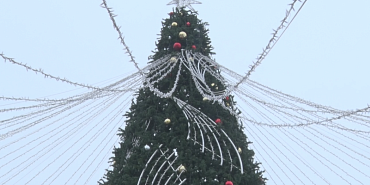 Хоббихорсинг, снежные бои...Сегодня-праздник у Татьян и студентов