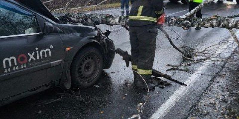 Шквалистый ветер в орловском регионе оставил после себя неприятности