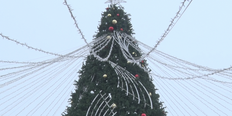 Хоббихорсинг, снежные бои...Сегодня-праздник у Татьян и студентов