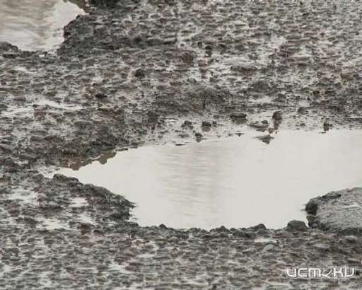 Четыре подрядчика не вышли делать гарантийный ремонт на дорогах города