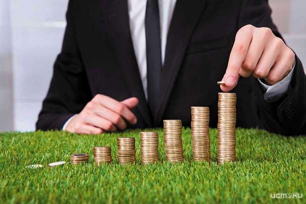 В Орловской области инвесторы могут получить землю в аренду без торгов