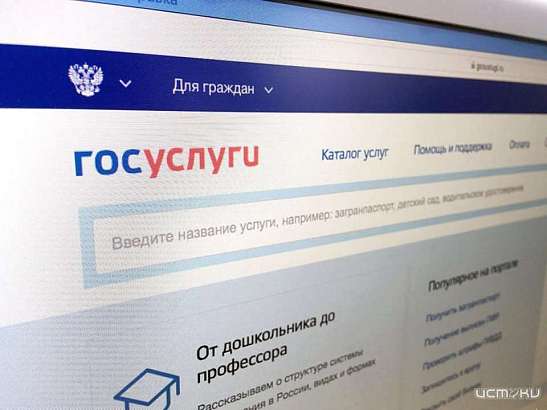 Орловчанам в электронном виде предоставляется более 80 муниципальных и госуслуг 