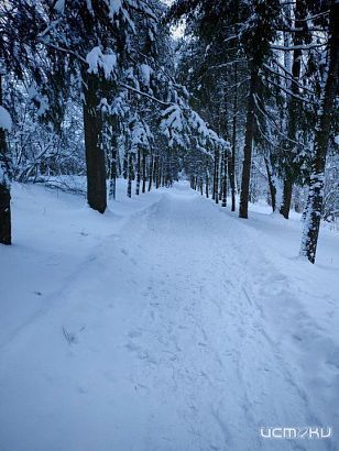 На Орловскую область надвигается циклон «Фрэнсис»