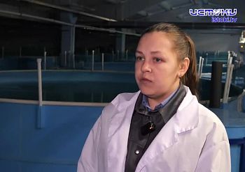 Экспертное мнение 18.02.2026