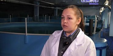 Экспертное мнение 18.02.2026