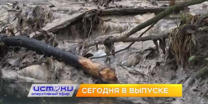 Итоги карантинных майских праздников, остров невезения под Орлом – сегодня в программе «Оперативный эфир»
