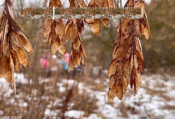 Суточный рекорд максимальной температуры был побит в среду в десяти городах России