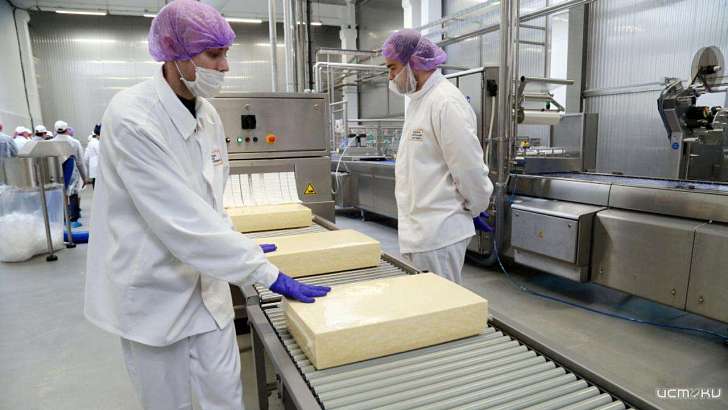 В Орле начали производить сыры на бывшей площадке Danone