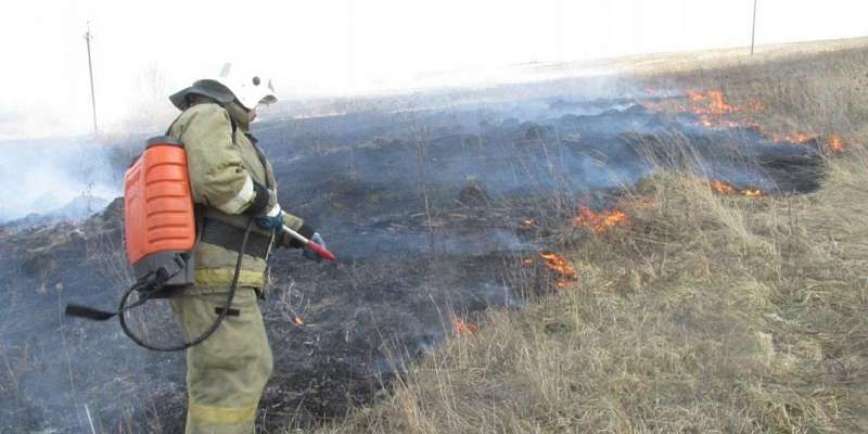 За костры в лесах орловчане заплатили уже более 2 млн рублей