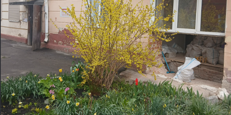 Орловчан беспокоит снос фасадной части стены их дома