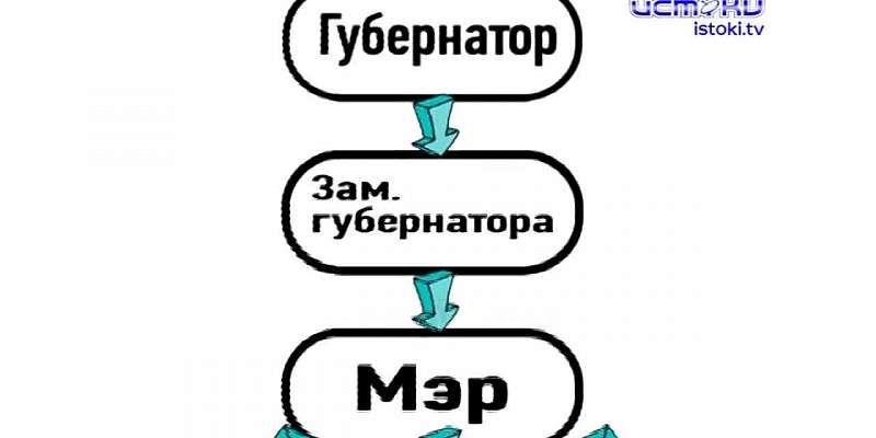 Ты там не коси, ты здесь коси или проблема весны плавно переходящая в лето. По традиции, в этот период большая часть города начинает зарастать травой...