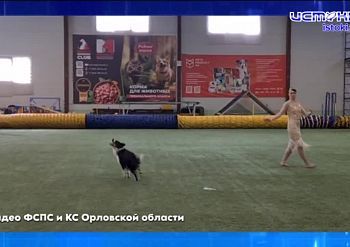 Жилья на Орловщине стало сдаваться заметно меньше