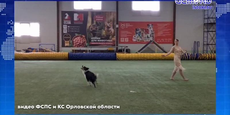 Жилья на Орловщине стало сдаваться заметно меньше