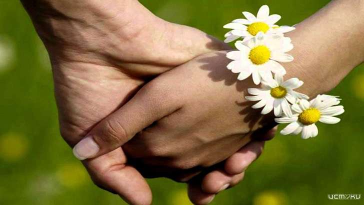 Медиахолдинг «Истоки» запускает конкурс ко Дню семьи, любви и верности