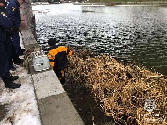 Помощь орловских пожарных и спасателей 31 декабря