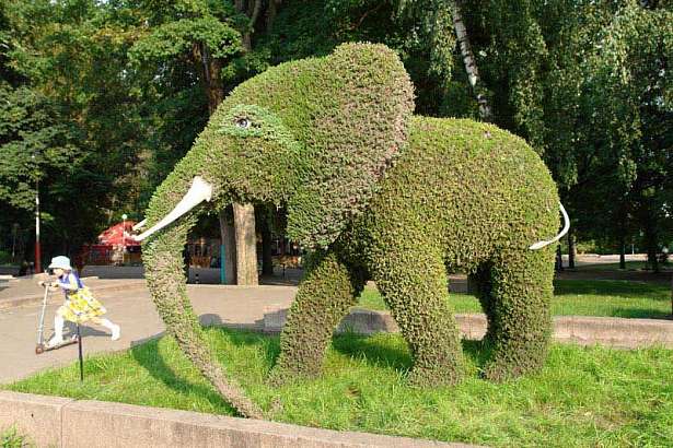  Еще больше топиарных фигур