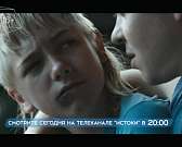 «Фламандские натюрморты» – после вечерних новостей