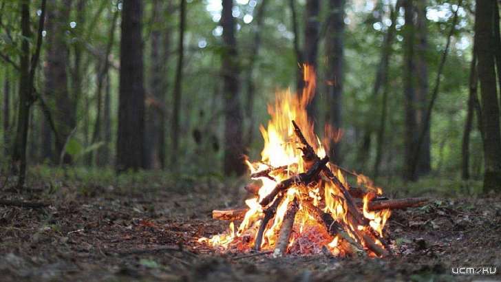 В лесах Орловской области вновь нельзя разводить костры 