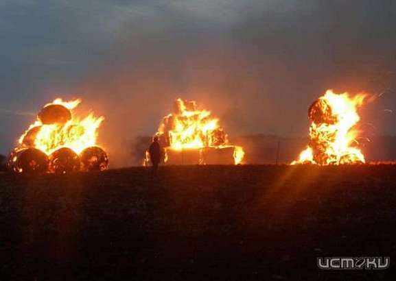В Залегощенском районе сгорело 8 тонн сена