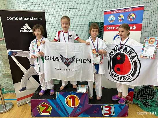 Орловские каратисты успешно выступили в Новомосковске