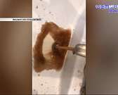 Видео: у жителей орловской многоэтажки из крана течет какао Видео: у жителей орловской многоэтажки из крана течет какао