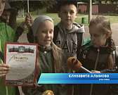 Любовь к спорту прививают с детства на состязаниях пришкольных лагерей