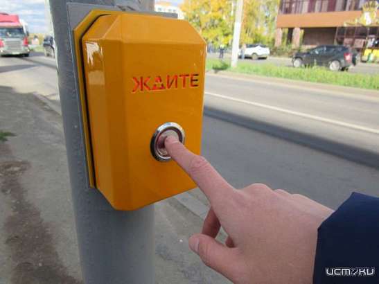 В Орле установят ещё несколько светофоров с кнопкой вызова для пешеходов