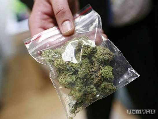У посетителей магазина была обнаружена марихуана