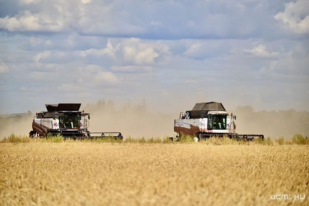 Орловские аграрии собрали 3,2 млн тонн зерновых, зернобобовых и масличных культур