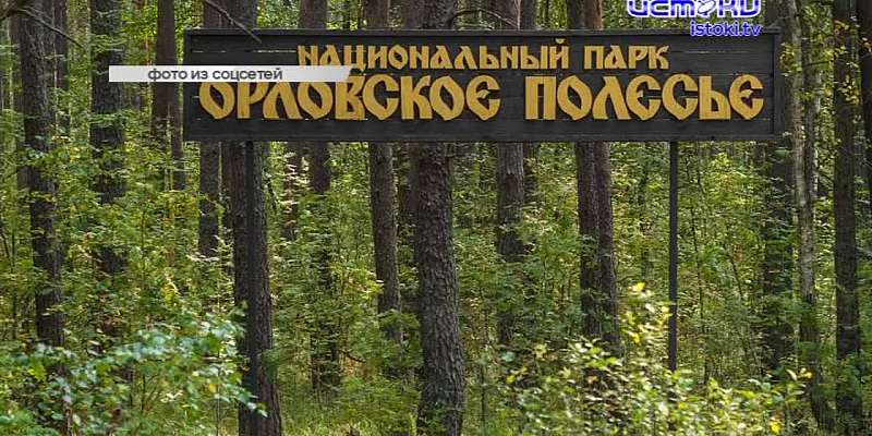 Можно ли в Орле купить местную гречку и кетчуп? Подробности ЧП с упавшим на автомобиль деревом. Итоги голосования по пешеходной зоне в районе площади ...