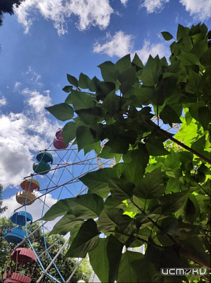 В Орле стартовал сезон аттракционов в Городском парке! В Орле стартовал сезон аттракционов в Городском парке!