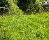 Скверы Гуртьева и Бунина готовятся к обновлению, в Железнодорожном районе обследуют трамвайные пути, а орловчанам предлагают сообщать о беспилотниках ...