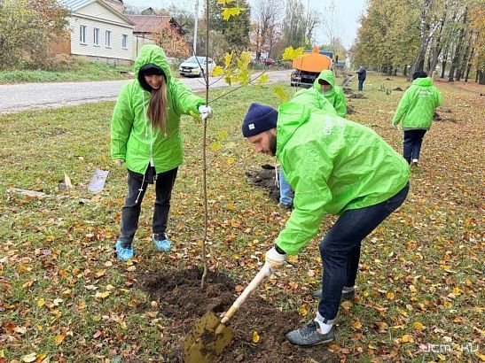 Кленовые и липовые аллеи появятся в орловских парках благодаря акции «Сохраним лес»