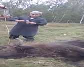 На Орловщине спасли зубра, провалившегося в колодец