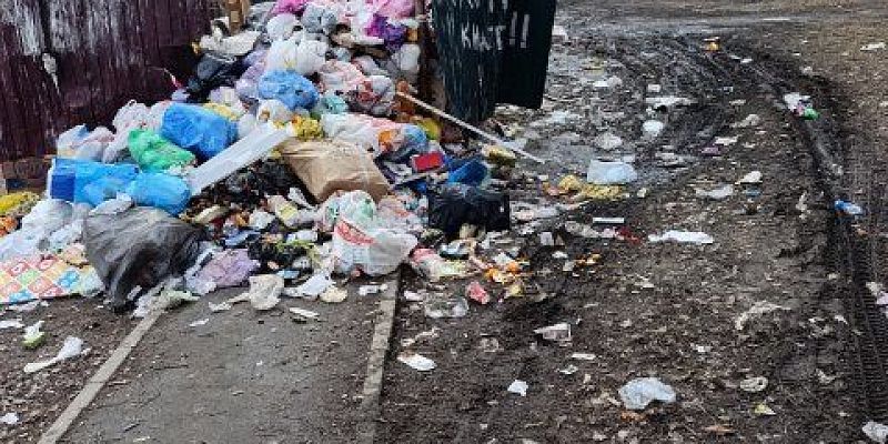 Жители улицы Дарвина в Орле обеспокоены разрастающейся горой мусора, которая скрыла под собой пешеходную дорожку