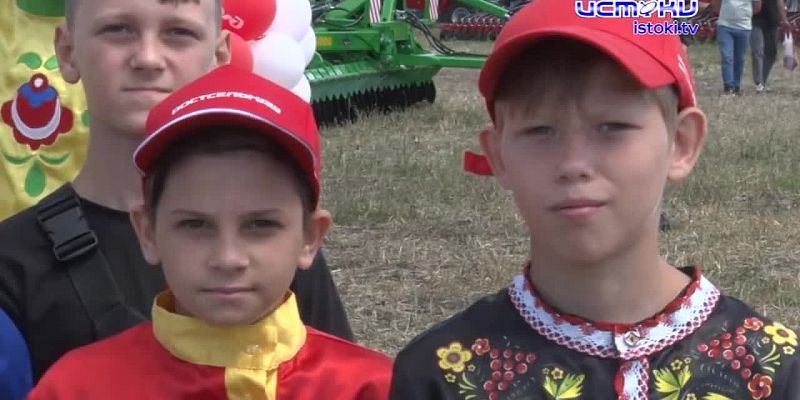 Поле, русское поле