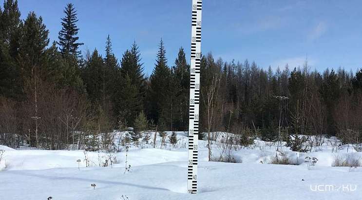 Синоптики опубликовали результаты прошедшего циклона "Ваня" по территории Орловщины