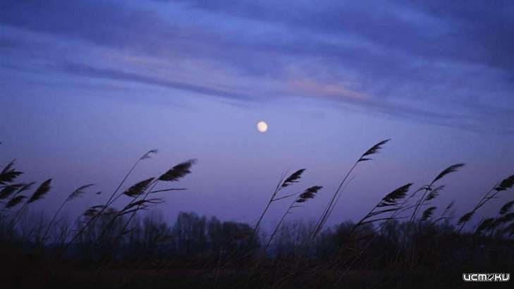 На Орловщину пришли холодные ночи